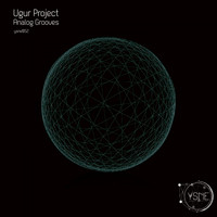 Ugur Project - Analog Grooves