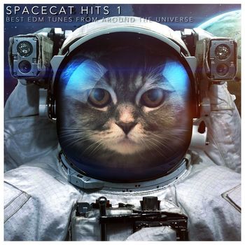 Various Artists - Spacecat Hits 1 (Best EDM Tunes from Around the Universe [Explicit])