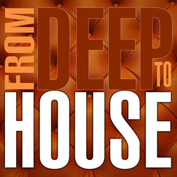Various Artists - From Deep to House