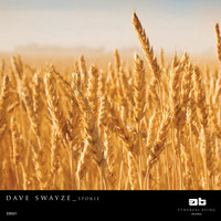 Dave swayze - Spokie