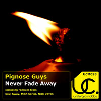Pignose Guys - Never Fade Away