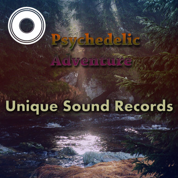 Various Artists - Psychedelic Adventure