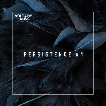 Various Artists - Voltaire Music pres. Persistence #4