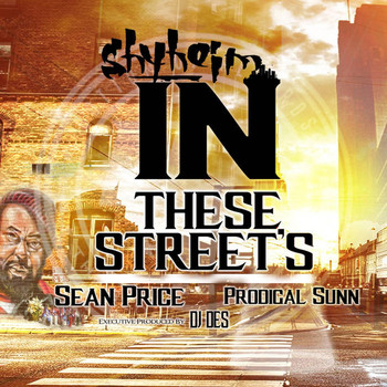 Shyheim - In These Streets (feat. Sean Price, Prodigal Sunn & DJ Des)