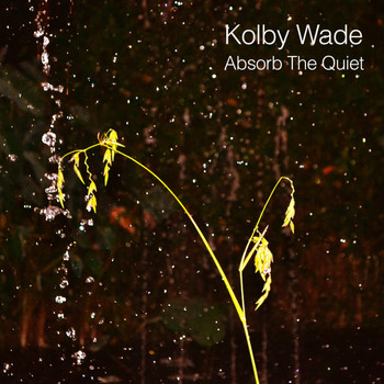 Kolby Wade - Absorb the Quiet