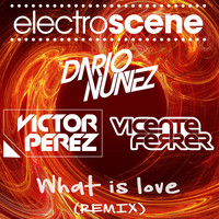 Dario Nunez, Vicente Ferrer & Victor Perez - What Is Love (Remix)