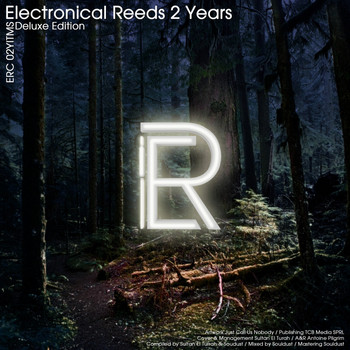 Various Artists - Electronical Reeds 2 Years