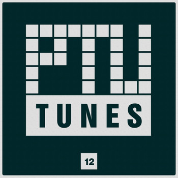 Various Artists - Ptu Tunes, Vol. 12