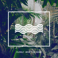 Flexile - Won't Go Home - Single