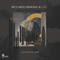 Riccardo Benigno - Moonseed EP