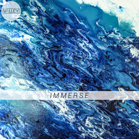 The Valley - Immerse