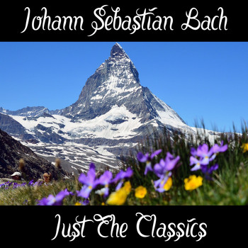 Johann Sebastian Bach - Johann Sebastian Bach: Just The Classics