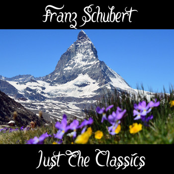 Franz Schubert - Franz Schubert: Just The Classics