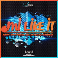 D'Koncep - Mi Like It (feat. Johnny500, Protek & Julian Alaino) - Single
