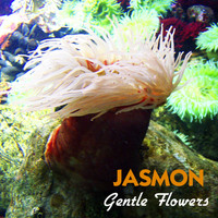 Jasmon - Gentle Flowers