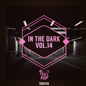 Various Artists - In the Dark, Vol. 14