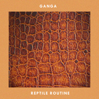 Ganga - Reptile Routine