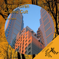 Steve Sibra - Vibrant Siren / Cosmic Cult