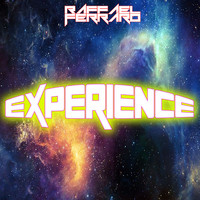Raffael Ferraro - Experience