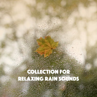 Relaxing Rain Sounds, Sleep Rain and Soothing Sounds - Collection for Relaxing Rain Sounds