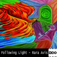 Following Light - Rara Avis