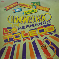 Los Hermanos Toledo - Chamameceando Con los Hermanos Toledo, Vol. 3