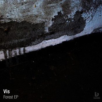 Vis - Forest EP