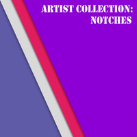 Notches - Artist Collection: Notches