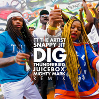 TT The Artist - Dig (Thunderbird Juicebox & Mighty Mark Remix)