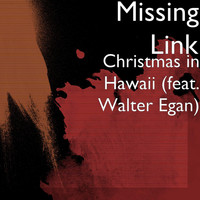 Walter Egan - Christmas in Hawaii (feat. Walter Egan)