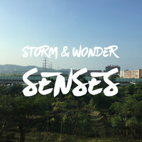 Storm & Wonder - Senses