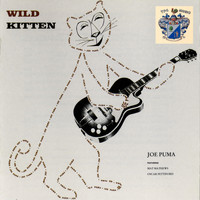 Joe Puma - Wild Kitten