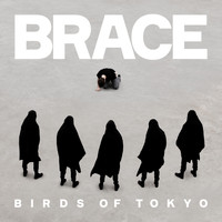 Birds Of Tokyo - BRACE