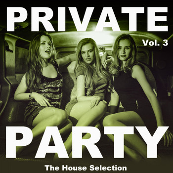 Various Artists - Private Party, Vol. 3 (The House Selection)