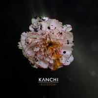 Kanchi - Blossom