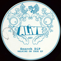 Search DiP - Walking On True EP