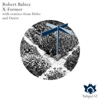 Robert Babicz - X-Former
