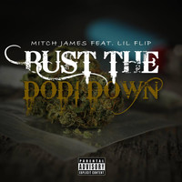 Lil Flip - Bust the Dodi Down (feat. Lil Flip)