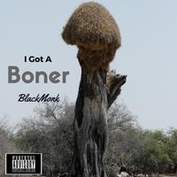 Black Monk - I Got a Boner (Explicit)