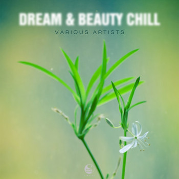 Various Artists - Dream & Beauty Chill