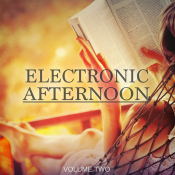 Various Artists - Electronic Afternoon, Vol. 2 (30 Wonderful Electronic Moments)