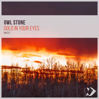 Owl Stone - Gold in Your Eyes