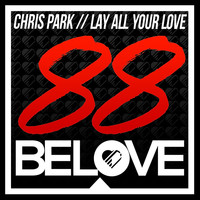 Chris Park - Lay All Your Love