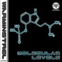Warminstrel - Molecular Levels