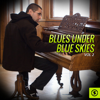 Various Artists - Blues Under Blue Skies, Vol. 2