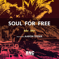 Soul For Free - Mr. Mr.