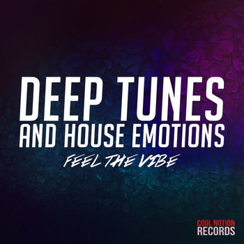 Various Artists - Deep Tunes and House Emotions (Feel the Vibe)