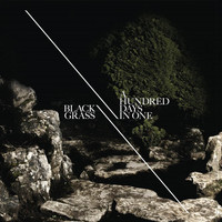 Black Grass - A Hundred Days in One