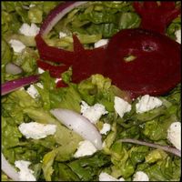 Deer - Beat Salad