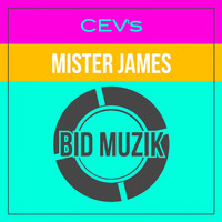 CEV's - Mister James (Original Mix)